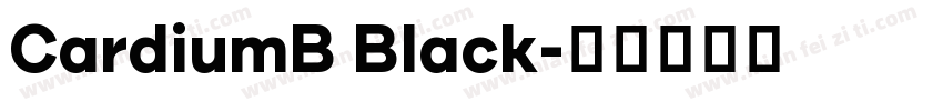 CardiumB Black字体转换